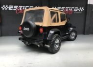 JEEP – Wrangler – 4.0 techo duro