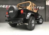 JEEP – Wrangler – 4.0 techo duro