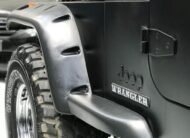 JEEP – Wrangler – 4.0 techo duro