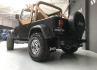 JEEP – Wrangler – 4.0 techo duro