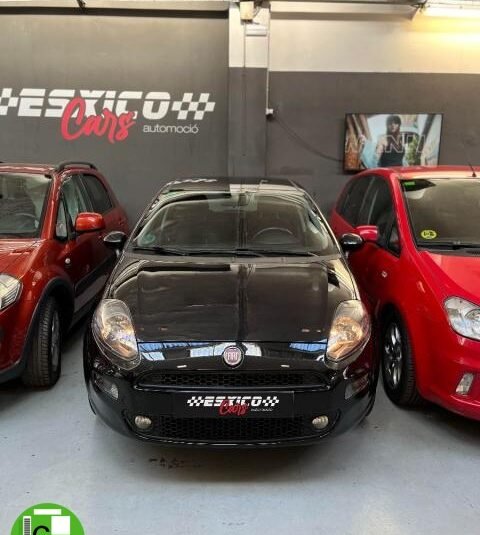 FIAT – Punto – 1.2 8V 5p. Young
