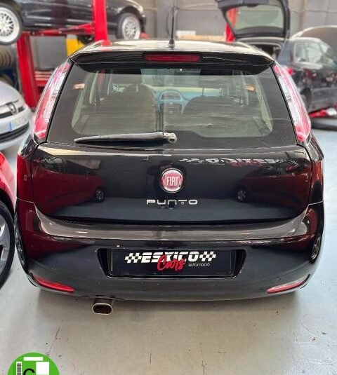 FIAT – Punto – 1.2 8V 5p. Young