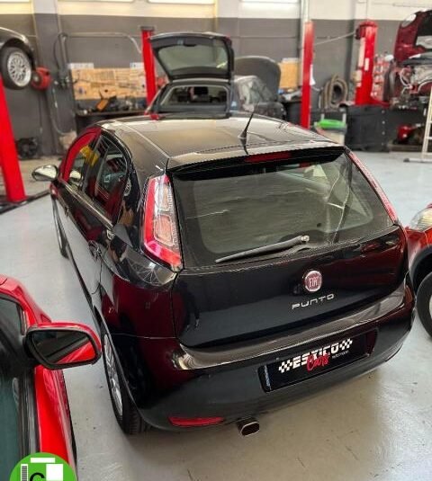 FIAT – Punto – 1.2 8V 5p. Young